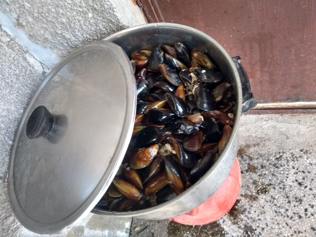 viber_изображение_2019-04-05_13-47-25