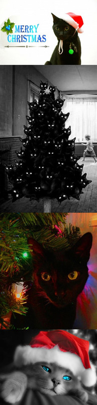 1618317-bigthumbnail (1)