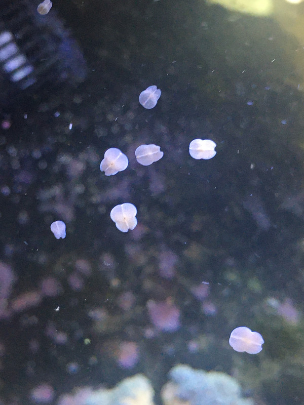 35288378-D69D-4C6F-9F49-8E0E2B26B8AF