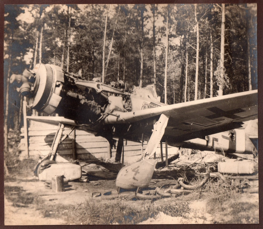 Fw-190-D-9-Brown-4a.jpg