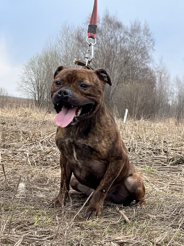 image-09-04-23-05-26-29 (1)_edit_590828086519220