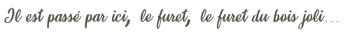 https://i.postimg.cc/s2ngWcc8/quotes1.png