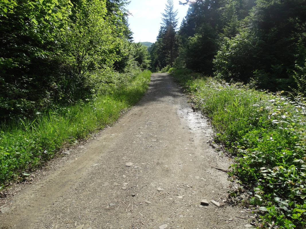 014 - DSC00674 (Hanka)