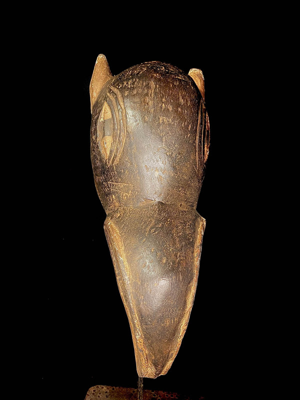 large image 4