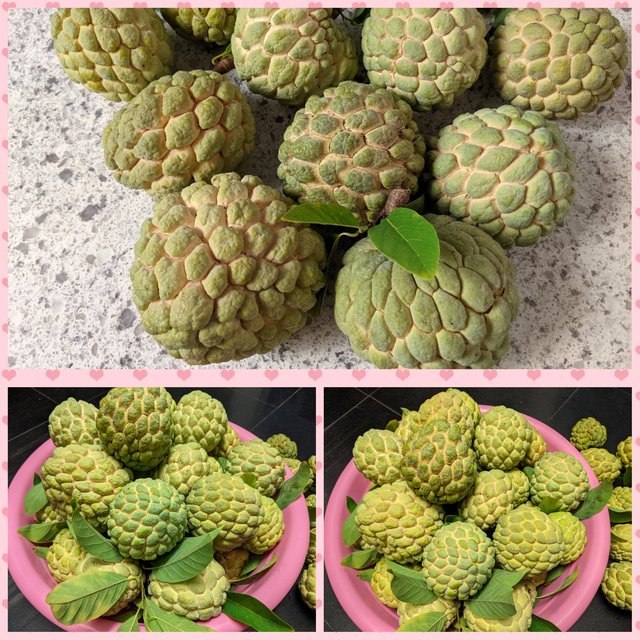 [Image: Photo-Grid-1633975267035.jpg]