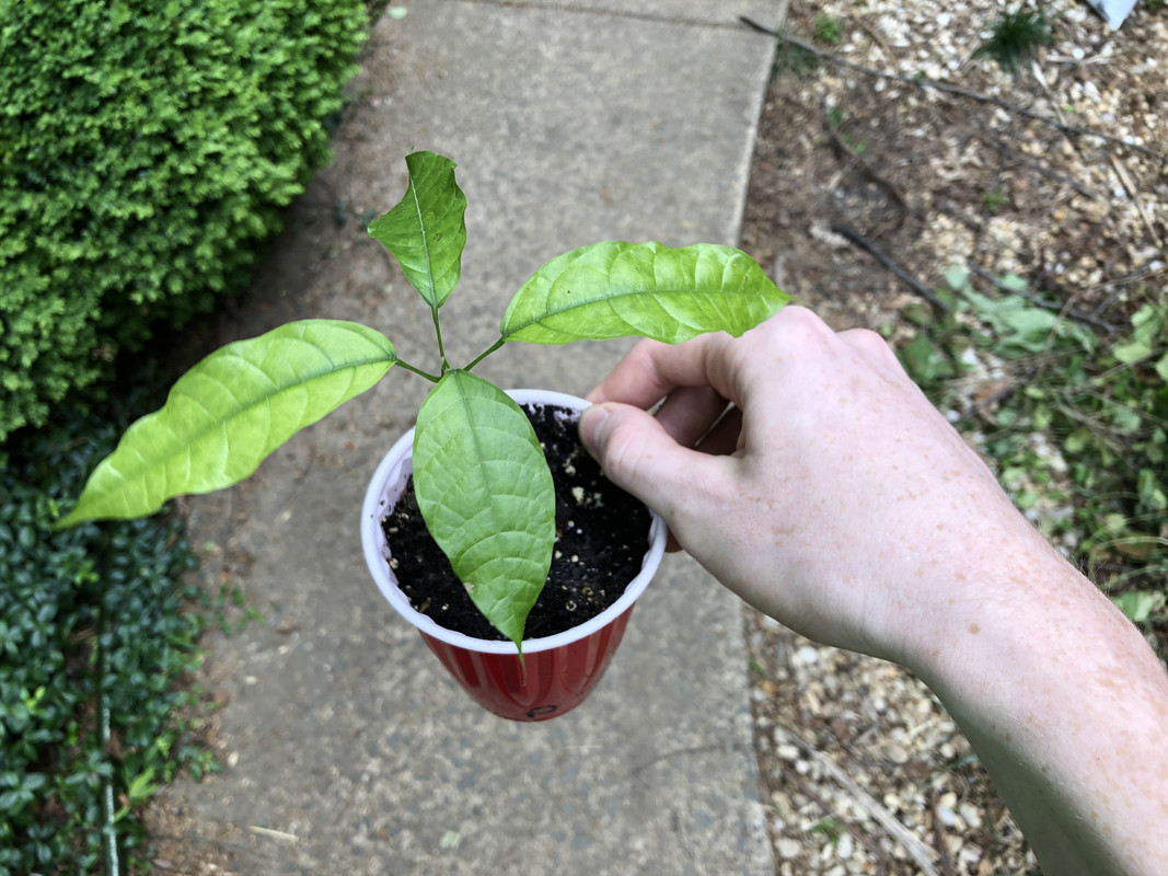 0CED91B3-3771-4690-AE4F-E238D0A65B56