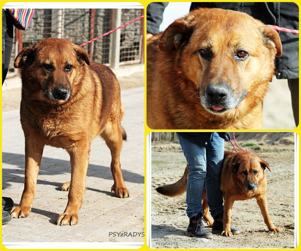 BeFunky-collage (11)