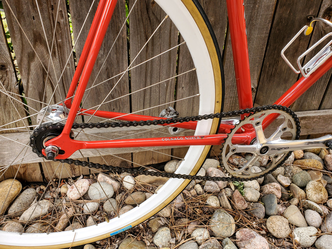 colnago super single speed