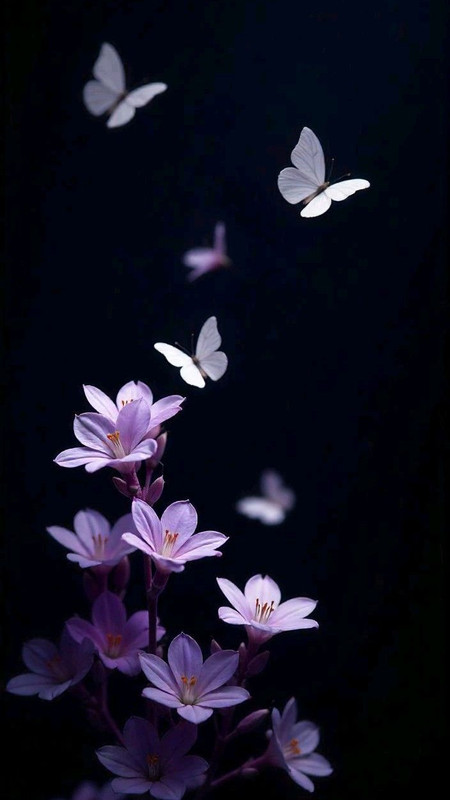 50cab430c8f0efd288ebdb0b4e3dccf8