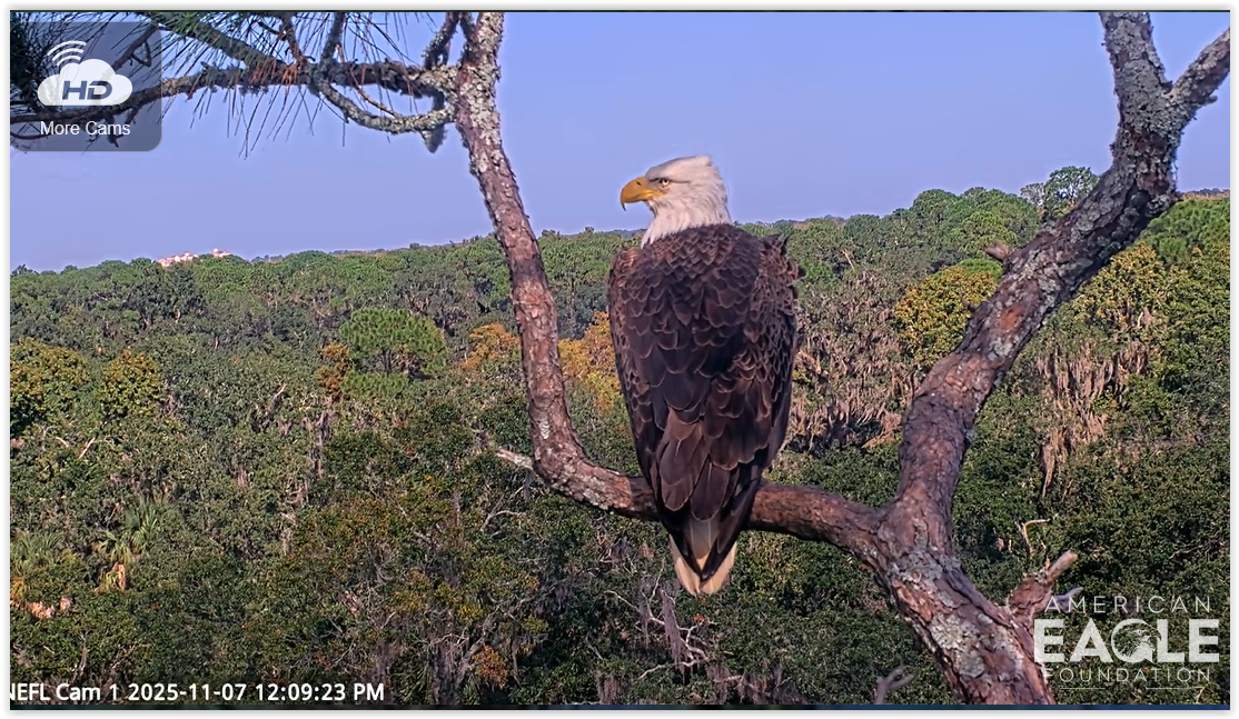 Screen Shot 11 07 25 at 06 10 PM