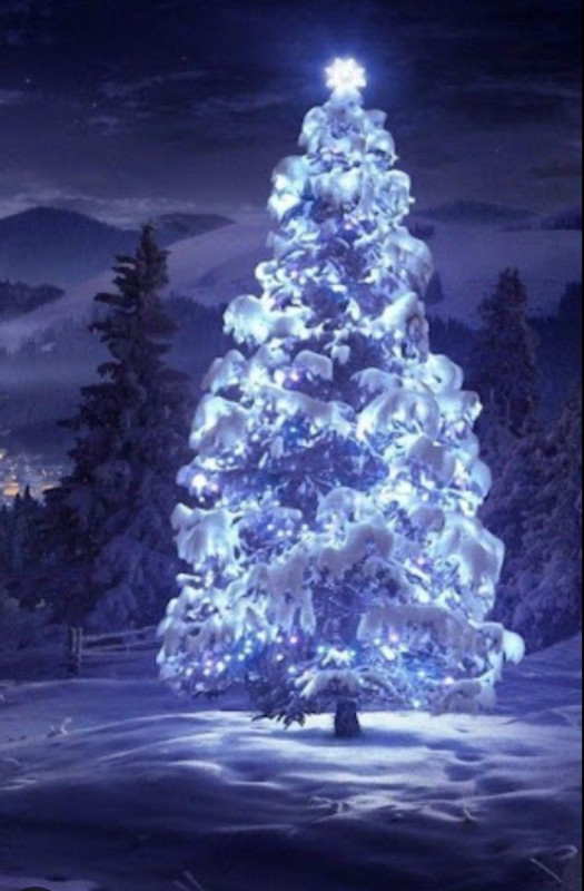 Screenshot_20221127-182811_Chrome