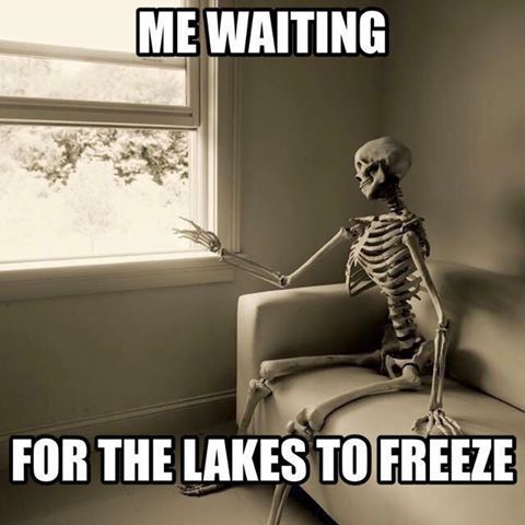 freeze