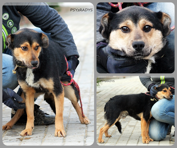 BeFunky-collage (21)