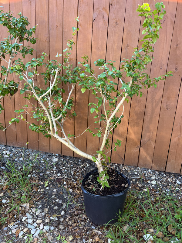 30815822-4657-463C-80C5-1C94C2A39464