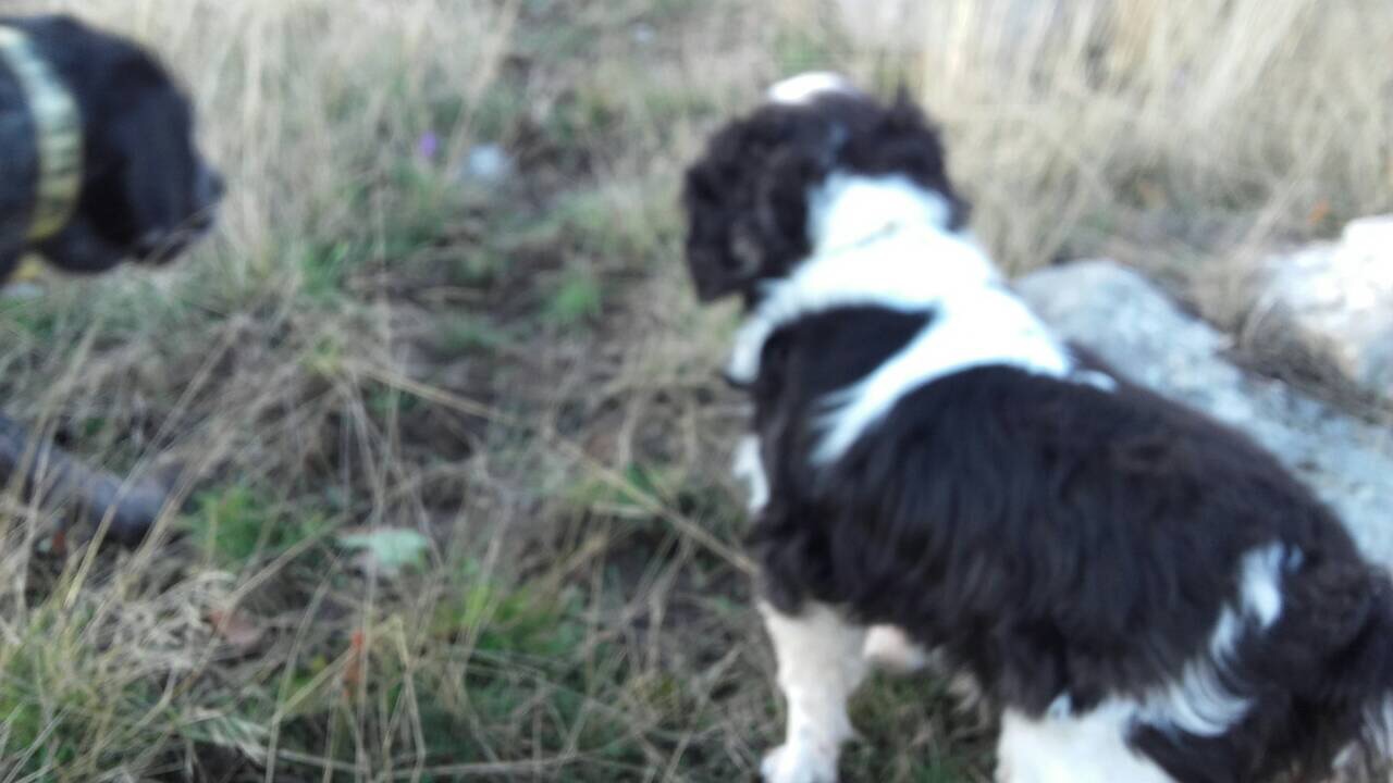 FEB81C1E-5FFB-44B8-BC3C-78BF8691731E