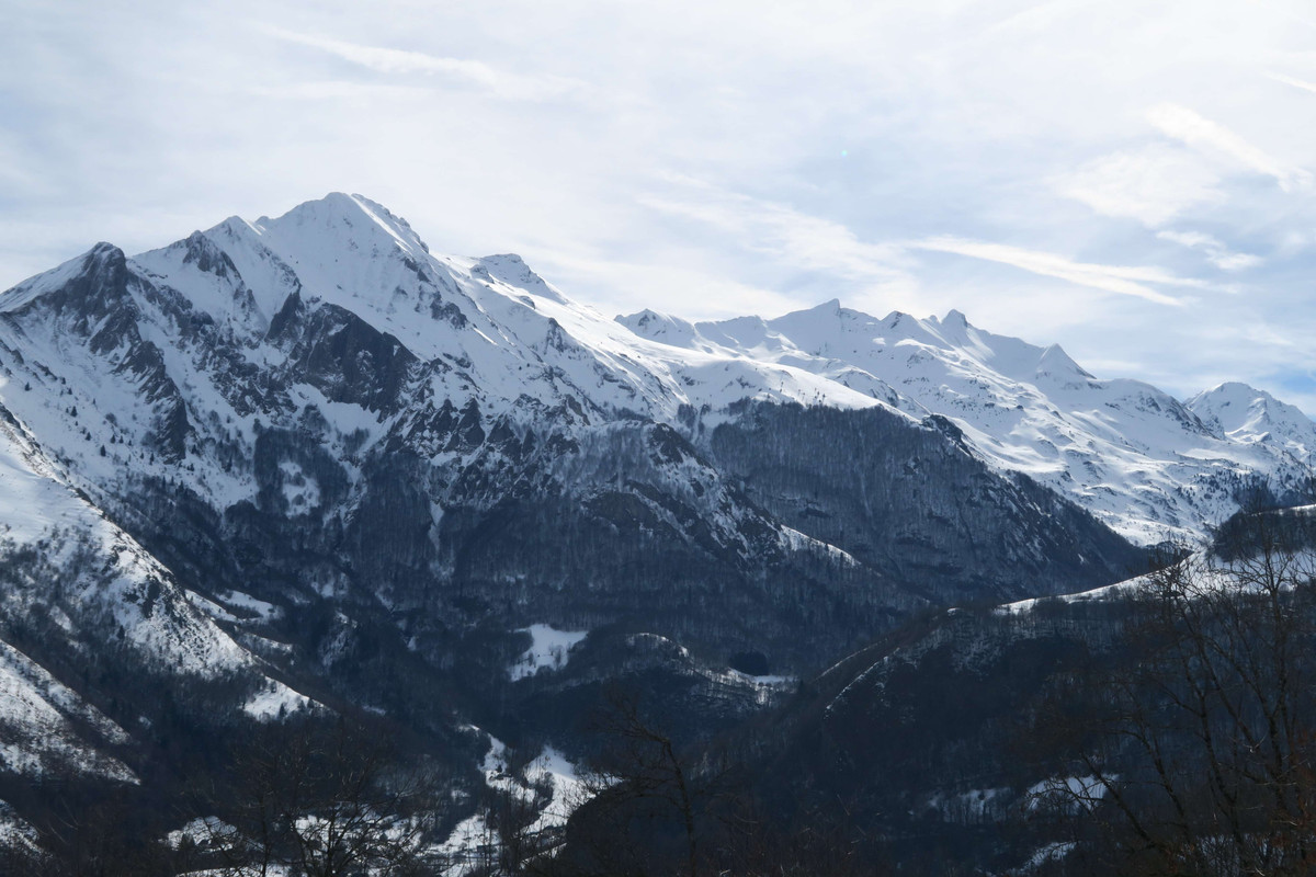 IMG_1841_compressed