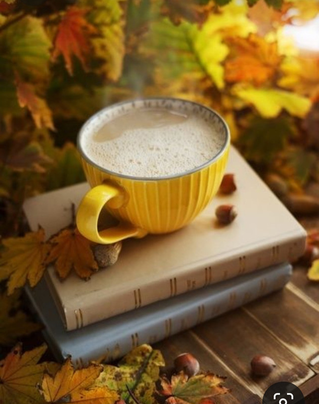 Screenshot_20230924_000811_Pinterest