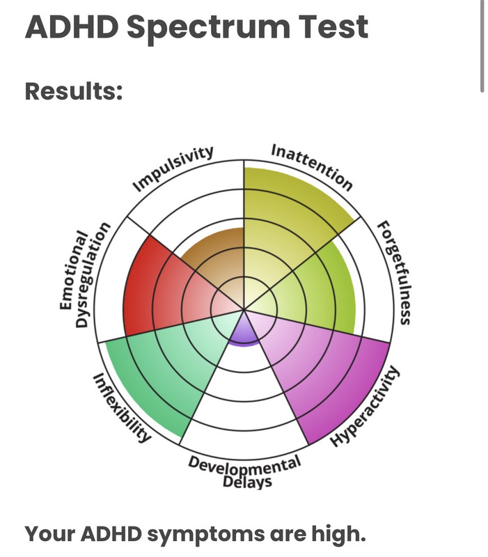 high adhd/diagnosed