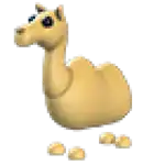 Camel