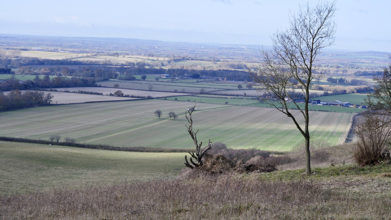 33E3121B-5D5E-4FEF-B121-5DB8FF749F7D