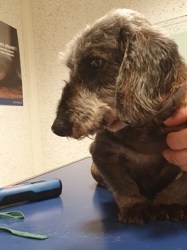 [Image: 20221118-183417.jpg]