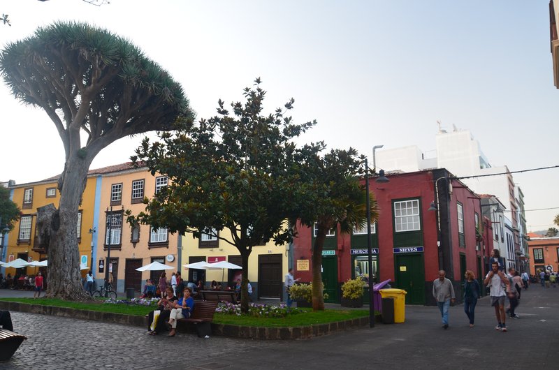 San Cristóbal de la Laguna-7-8-2016 - Islas Canarias y sus pueblos-1991/2025 (28)