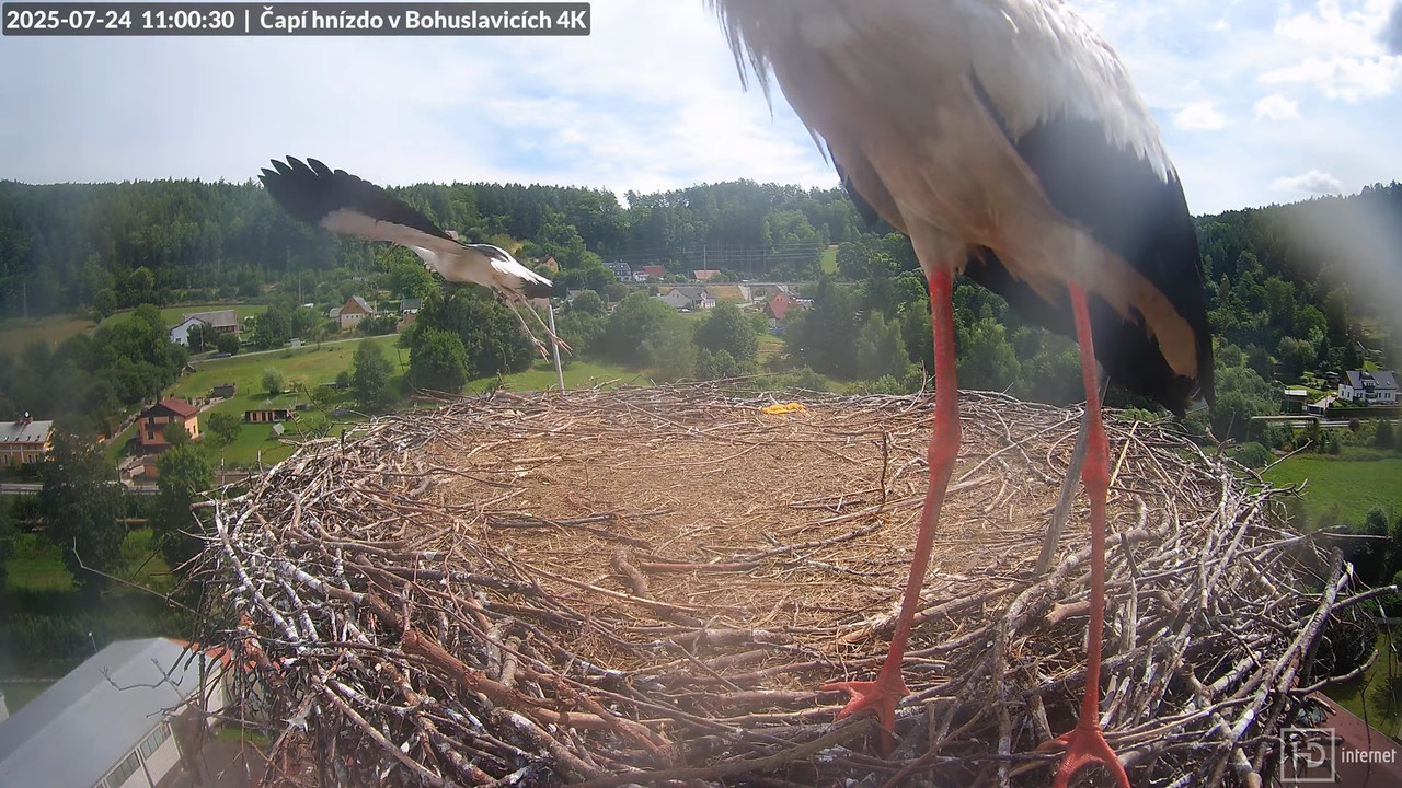 Živě z čapího komína firmy KARA v Bohuslavicích u Trutnova 12-54-16 screenshot