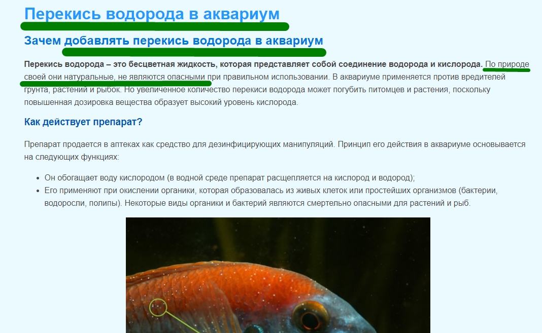 Screesrhftdruhseysenshot_1