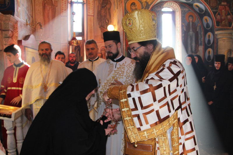 [Слика: IMG-1052.jpg]