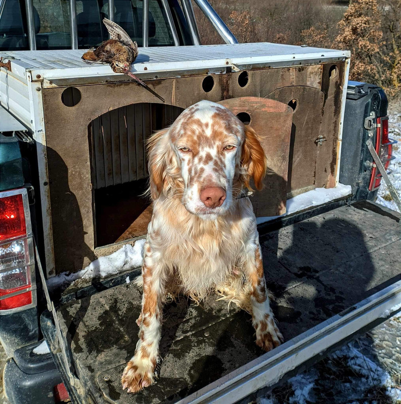 FB_IMG_1705072465849