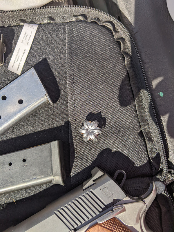 HST1