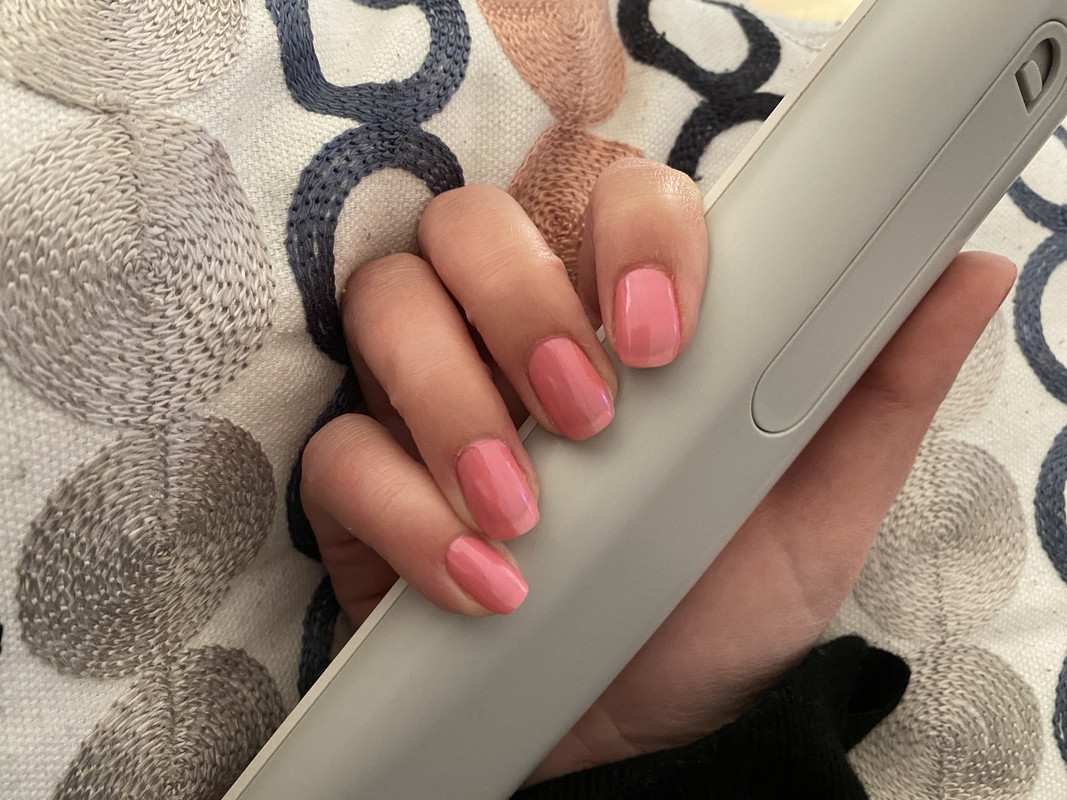 71E3D1DD-B341-4516-A775-A17504D35528