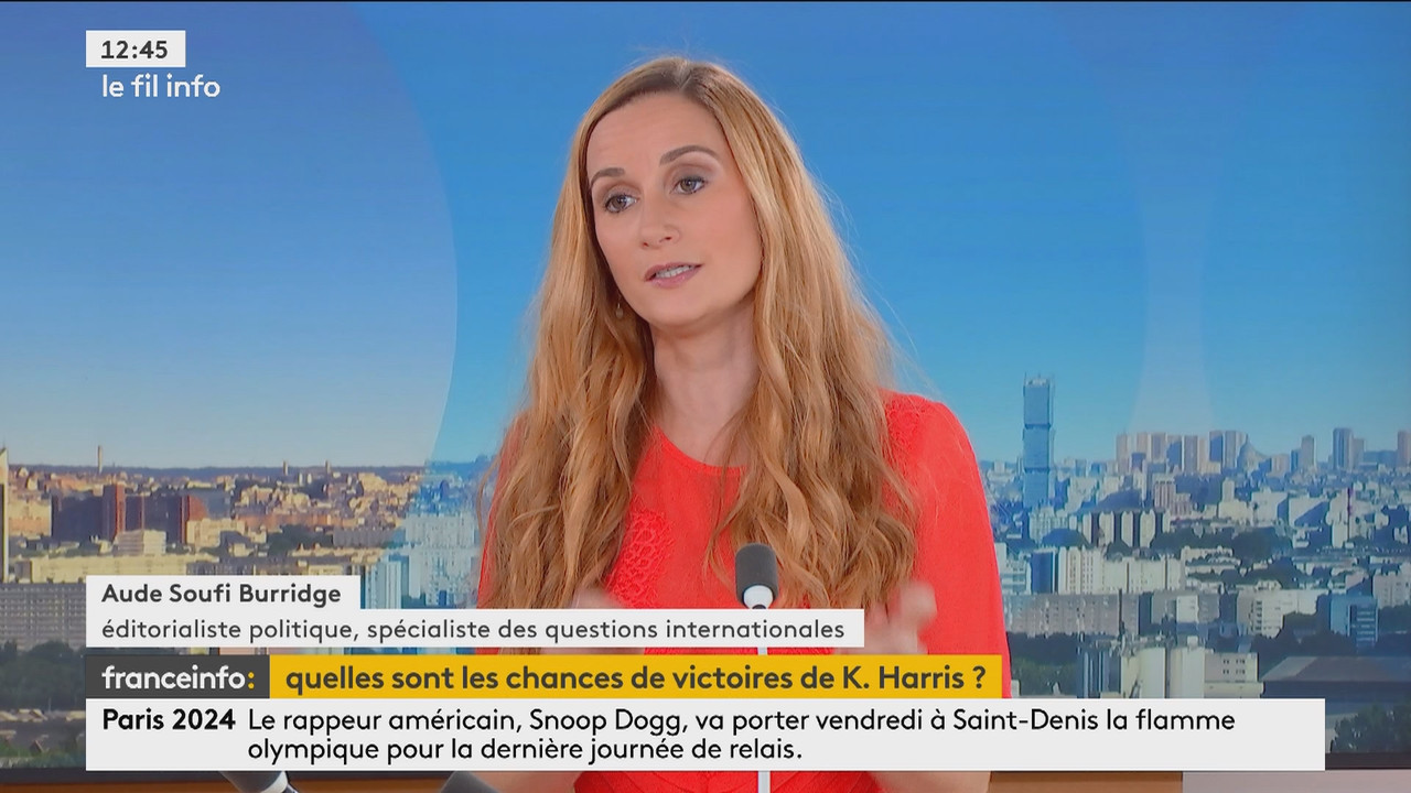 Le fil info (Franceinfo)_2024_07_23_07_53_22.ts_snapshot_03.53.25.454