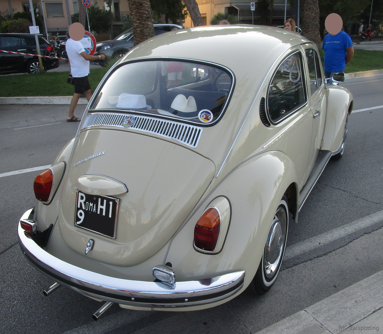 IMG-8980.jpg