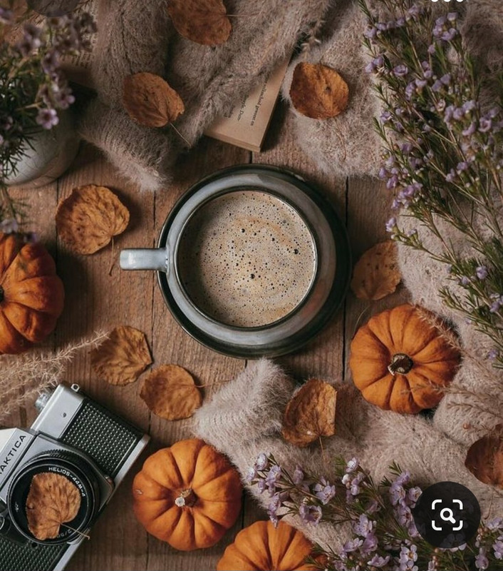 Screenshot_20231015_205747_Pinterest