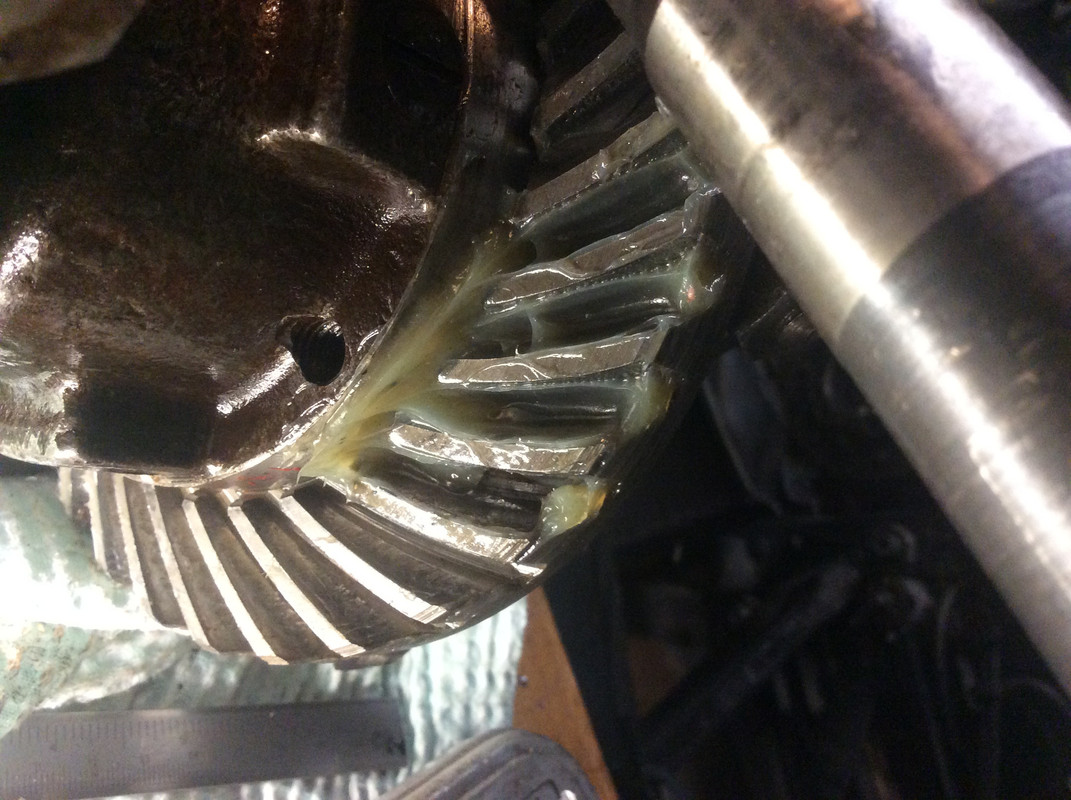 36F5E871-F4FC-4799-9558-0863E8C068F1