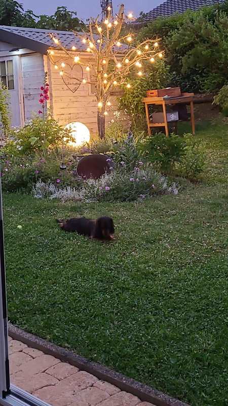 [Image: IMG-20240629-WA0004.jpg]