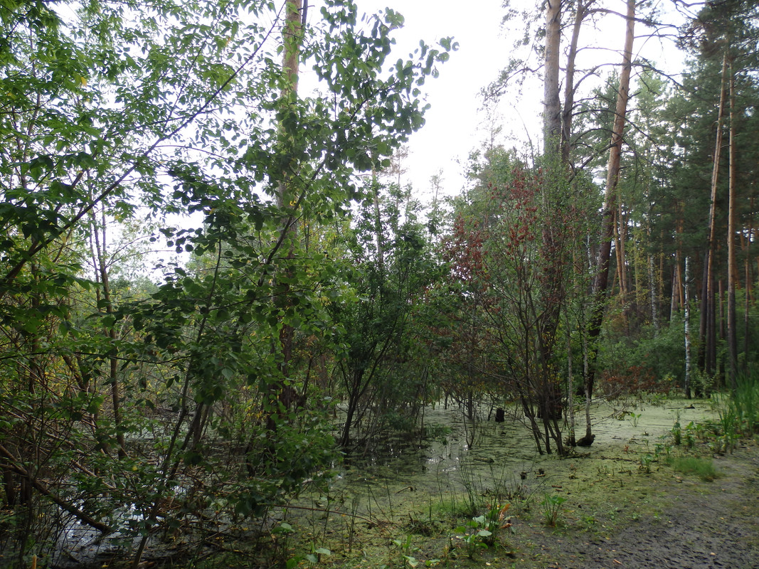 P7200075