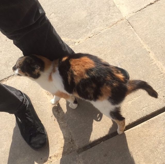 84607DFB-12C2-417B-90D1-DF13197890B1