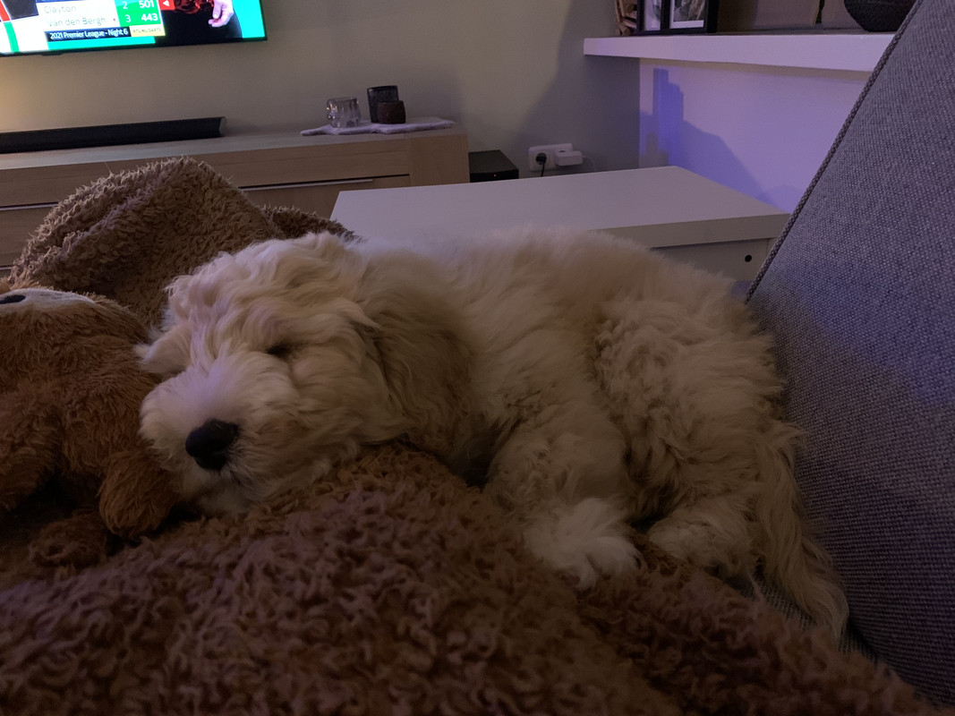 8C064FE4-E637-4CD2-B5C5-5E263B0E8320