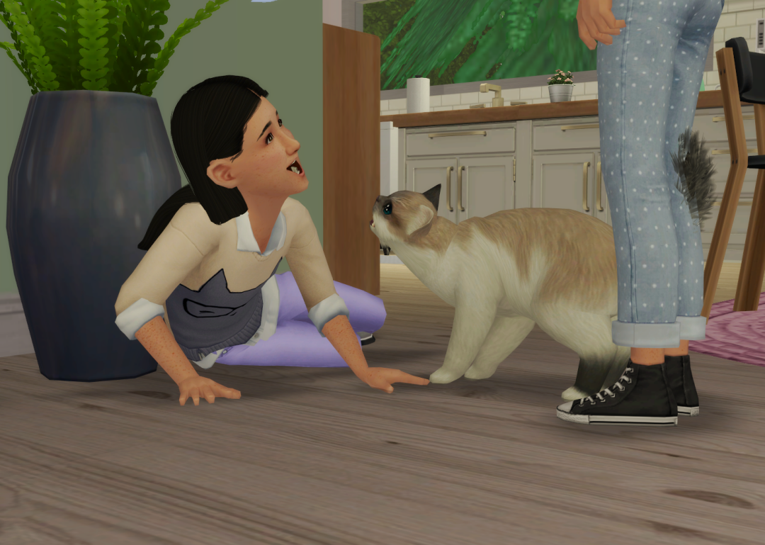 Sims2-EP9-RPC-2023-06-04-15-03-43-95