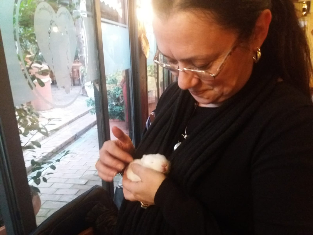 WhatsApp Image 2019-12-08 at 16.23.26