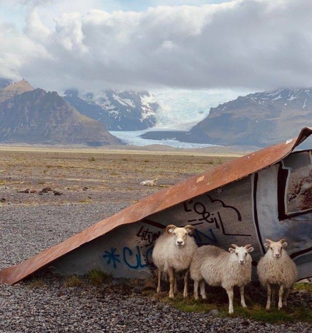 Islandia-10