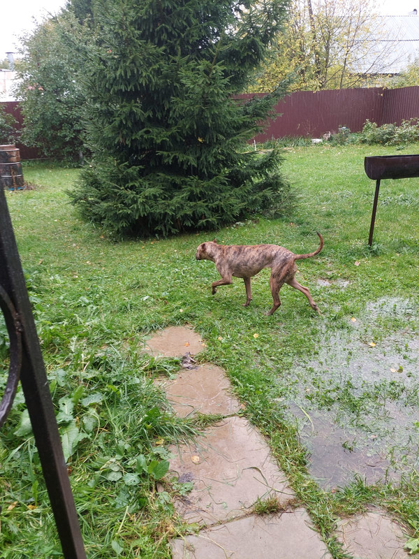 03BA0BE2-07C5-43C4-9FE3-940A89DD45EB