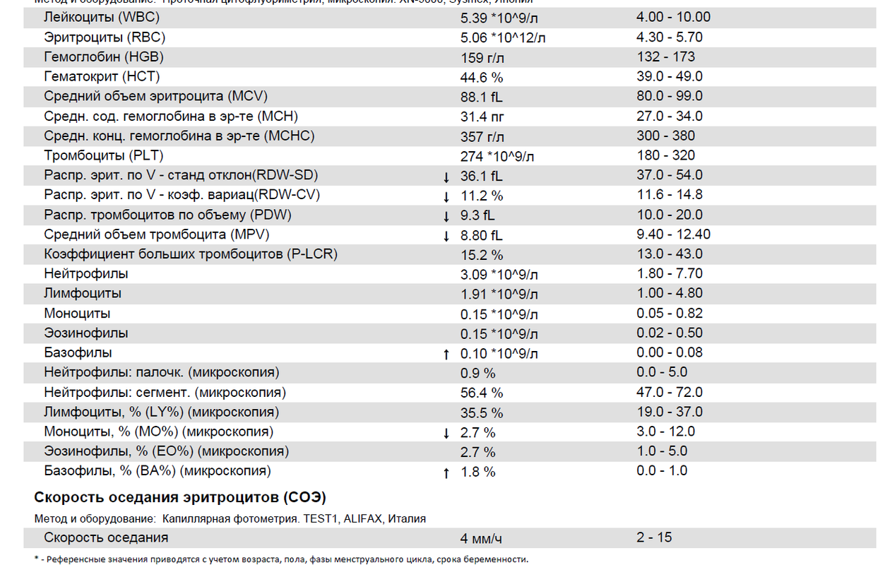 Новый точечный рисунок (5)
