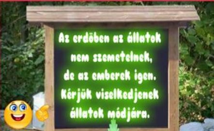 https://i.postimg.cc/s2tpHPXL/azerdoben-azallatok.jpg