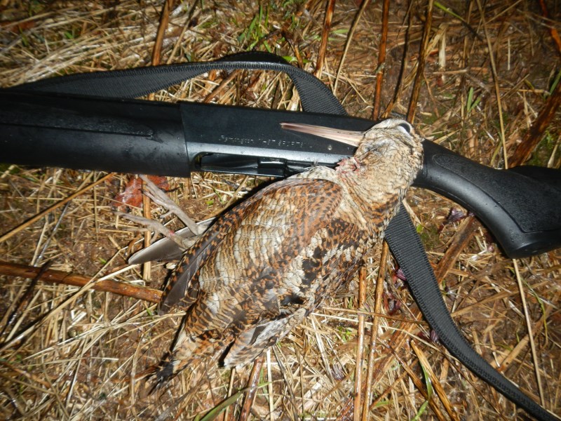 DSCN2145 (800 x 600)