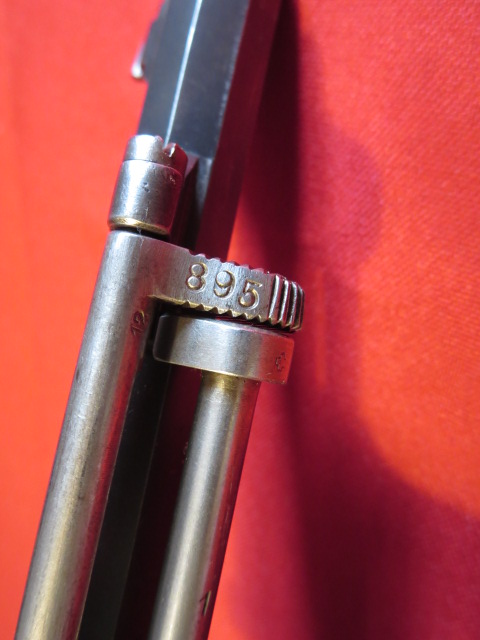 IMG-3737