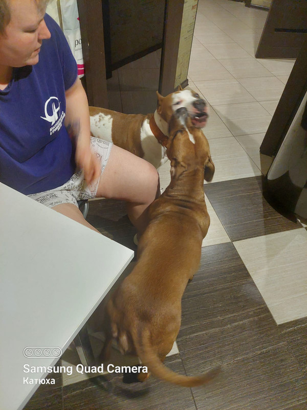 2D6BAE55-1361-4156-AF0F-54F2E5DE39FD