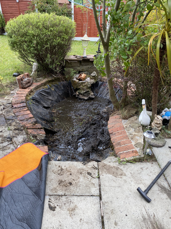 E5537B95-BF68-4DE7-A962-F1BD8E39A988